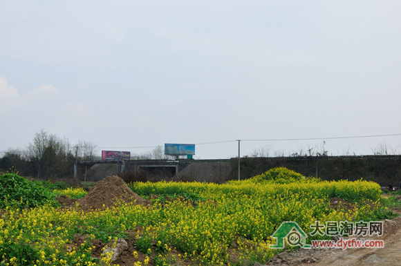 F·ض20143ʩM(jn)(D)