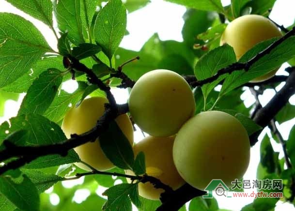 صôƺ(ji)625_(ki)Ļ