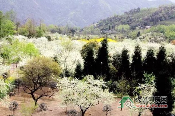 p_ ôFɽl(xing)(ji)_Ļ
