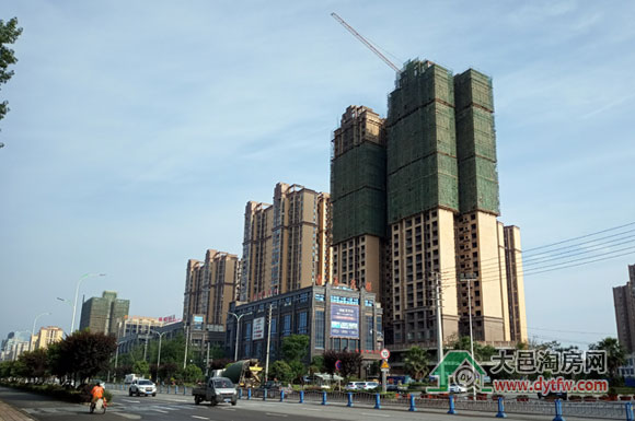 20195ʩMr