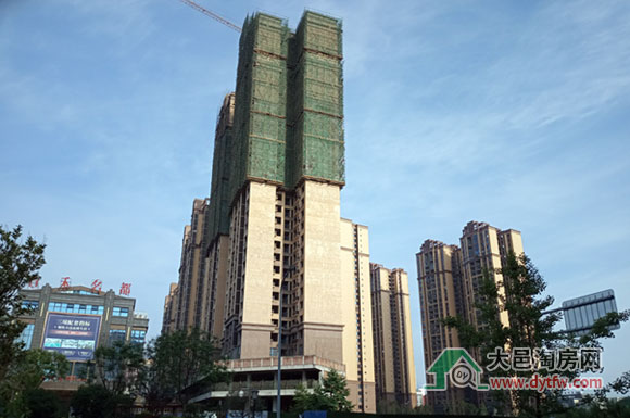 20195ʩMr