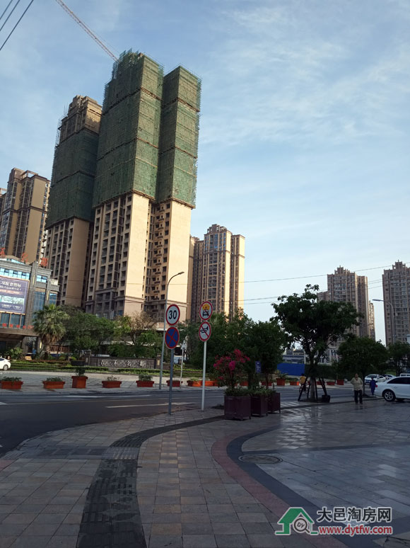 20195ʩMr