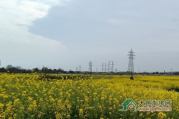 2023عӋ(j)t @ЩƬ^(q)ɟc(din)