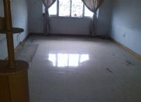QQDƬ20141007104403