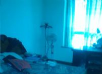 QQDƬ20141018174916