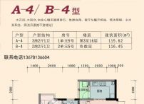 2Ԓ13678136604