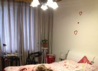 QQDƬ20141229144227