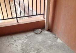 QQDƬ20150105104019