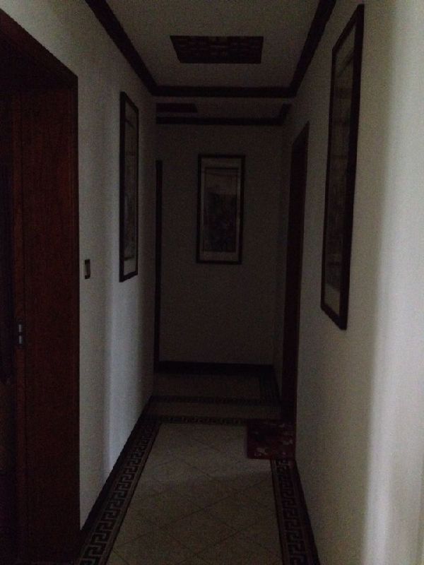 QQDƬ20140629103305