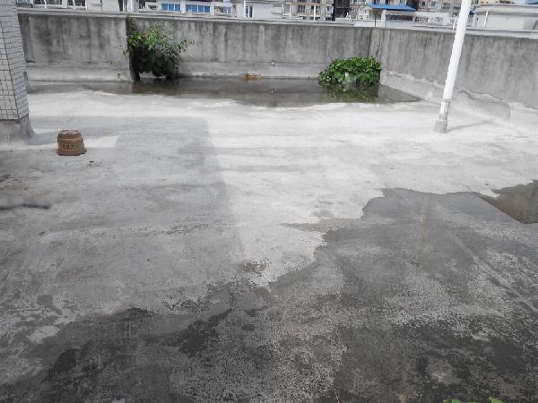 2015010619553587805