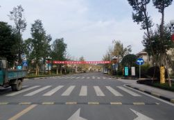 IMG_141737