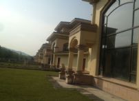 QQDƬ20141114180529