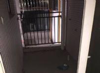 QQDƬ20150330202440