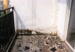 QQDƬ20140730101251