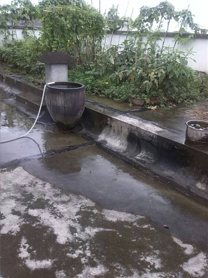 QQDƬ20140809195425