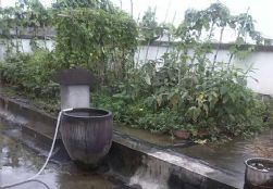 QQDƬ20140809195425