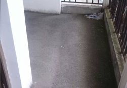 QQDƬ20140809195438