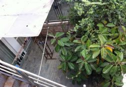 QQDƬ20140621160418