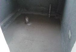 20130402114431564