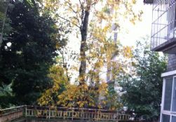 QQDƬ20140920142005