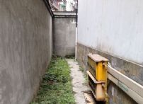 QQDƬ20141223102608
