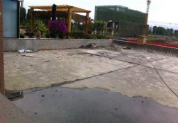 QQDƬ20150522185603