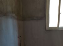 20150725_110657 (2)