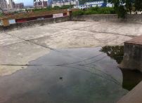QQDƬ20150522185600