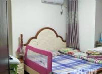 c3ed4574ed1ea0aec713930446b2cdb5