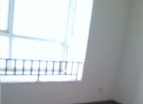 QQDƬ20150324102904