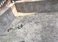 QQDƬ20150510165250