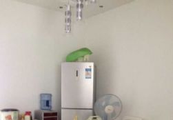 QQDƬ20150608103818