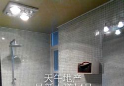 QQDƬ20150611091113