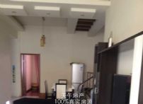 QQDƬ20150613145718