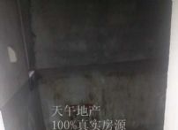 QQDƬ20150615165925