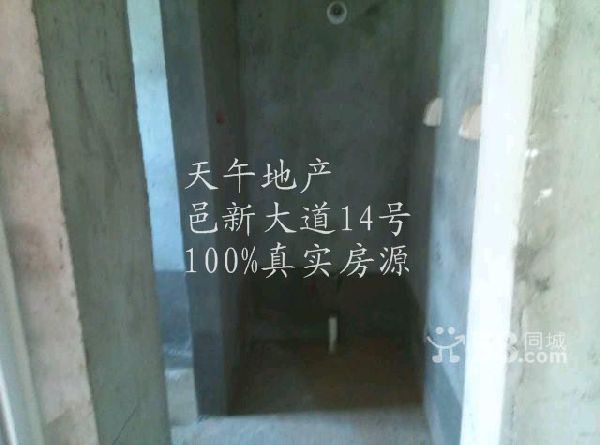n_t01180e6650e5a8019cf06_副本