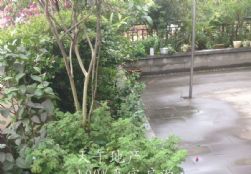 QQDƬ20150623161816