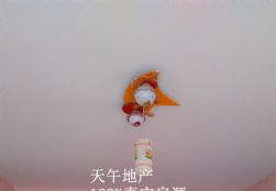 QQDƬ20150628155919