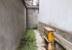 QQDƬ20141223102608
