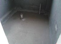 20130402114431564