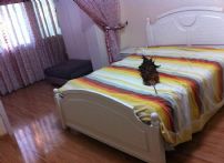 QQDƬ20150527194433