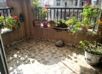 QQDƬ20150329104223