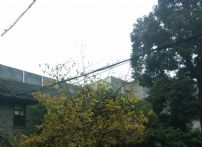 IMG_20160103_173743