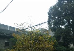 IMG_20160103_173743