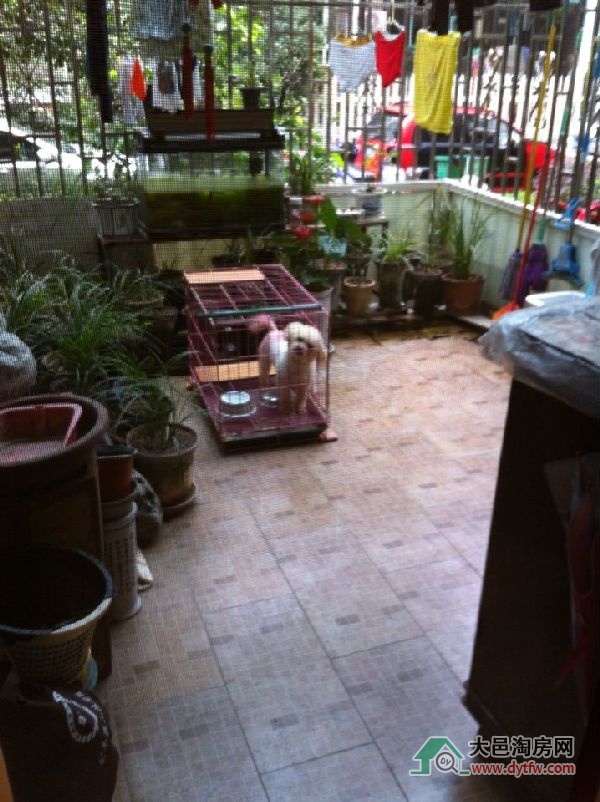 QQDƬ20140621155036