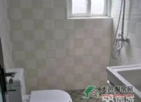 2017073116193898774