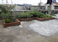 QQDƬ20140626114125