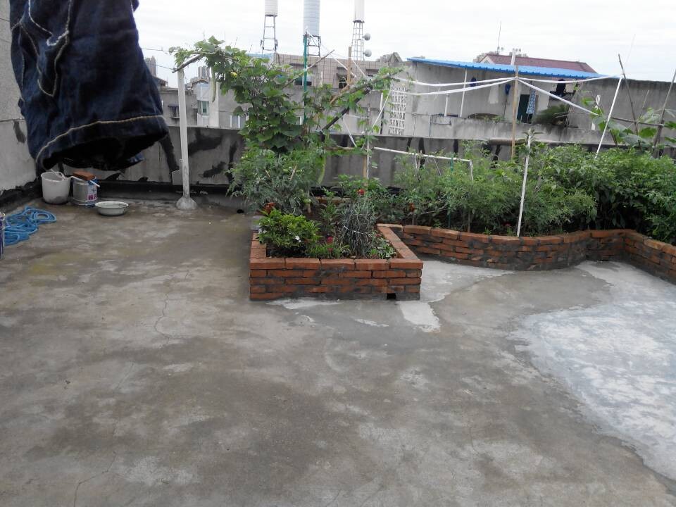 QQDƬ20140626114131