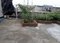 QQDƬ20140626114131