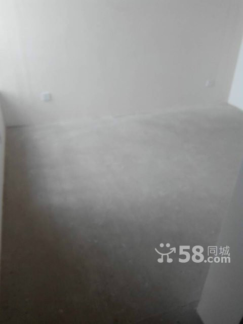 n_s12315472816785869065